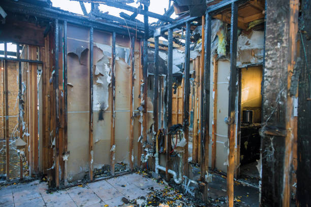 Professional Fire Damage Removal technician working in Henderson, NC